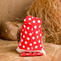 Оберег &laquo;Домовой&raquo;, с рублями, 10 см, микс