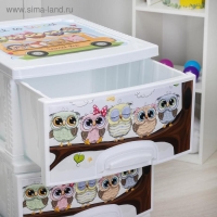 Комод 4-х секционный &laquo;Совушки&raquo;, цвет белый