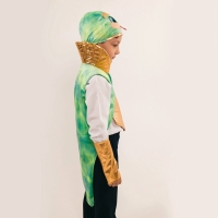 Карнавальный костюм детский «Новогодний змей»: жилетка, нагрудник, шапка, нарукавники, рост 116-128 см Карнавальный костюм детский «Новогодний змей»: жилетка, нагрудник, шапка, нарукавники, рост 116-128 см