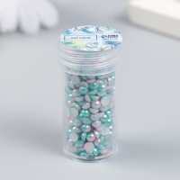 Декор "Полубусины и стразы. Градиент бело-голубой" d=4 мм 10г 200 шт 5х2,5 см МИКС Декор "Полубусины и стразы. Градиент бело-голубой" d=4 мм 10г 200 шт 5х2,5 см МИКС