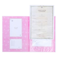 Папка для свидетельства о рождении с уголками &laquo;Мои первые документы&raquo;, для девочки, А4