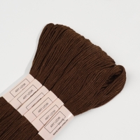 Набор ниток мулине №938, 8 ± 1 м, 6 шт, цвет кофейный Набор ниток мулине №938, 8 ± 1 м, 6 шт, цвет кофейный