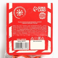 Жевательная резинка &laquo;Новогодняя почта&raquo; с начинкой и ароматом апельсина, 50 г.