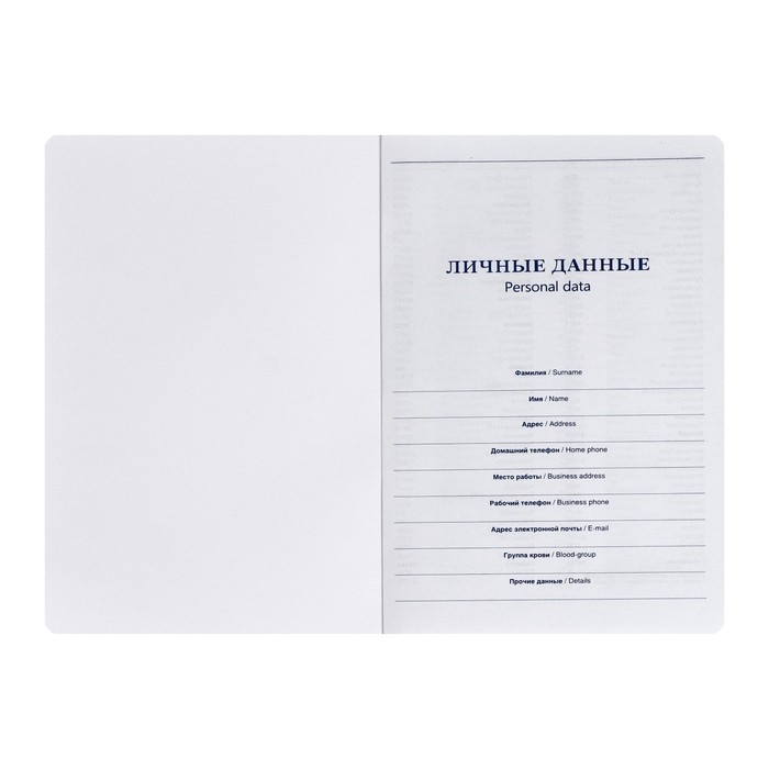 Ежедневник недатированный BOSS А5, 140 листов в клетку, с ручкой, обложка ПВХ, МИКС