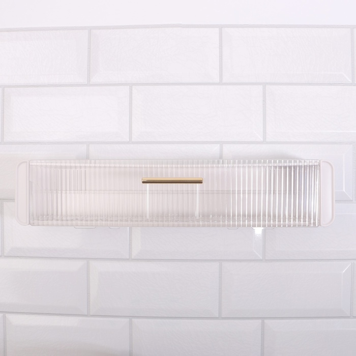 Органайзер для хранения, навесной, 1 секция, с клеевой основой и крючками, 38,7 &times; 8,5 &times; 6,5 см, цвет полупрозрачный/белый