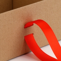 Коробка подарочная складная, упаковка, &laquo;Крафт, красная лента&raquo;, 22 х 16.5 х 10 см