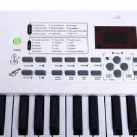 Синтезатор &laquo;Музыкальный мир&raquo;, 61 клавиша, с микрофоном и адаптером