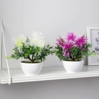 Бонсай в горшке "Тилландсия" 10х17 см, микс Бонсай в горшке "Тилландсия" 10х17 см, микс