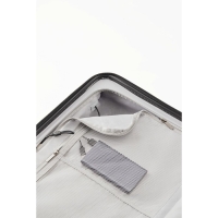 Чемодан NINETYGO Rhine PRO plus Luggage, 20", 38л, TSA замок, черный