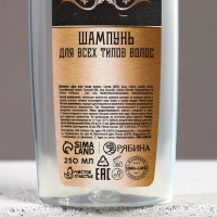 Подарочный набор косметики новогодний &laquo;Настоящему мужику&raquo;, гель для душа и шампунь для волос, 2 х 250 мл, Новый Год