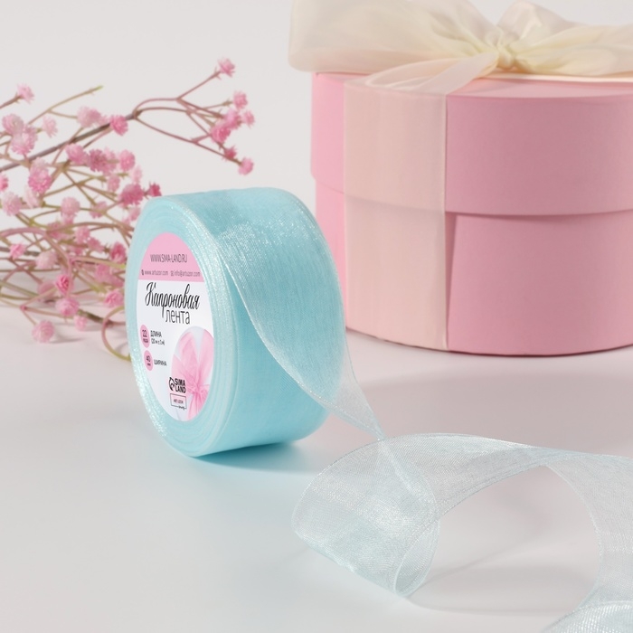 Лента капроновая, 40 мм, 20 &plusmn; 1 м, цвет светло-голубой №13