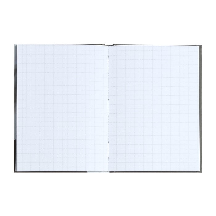 Блокнот А6, 40 листов в клетку "Спящий кот", твёрдая обложка, глянцевая ламинация, блок офсет