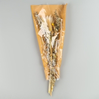 Сухоцветы &laquo;Изумление&raquo;, набор из 5 видов, 48 &times; 16 &times; 6 см