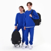 Рюкзак школьный 39х30х14 см &laquo;1 сентября: Милый кот&raquo;