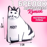 Брелок антистресс «Можно не надо?» Брелок антистресс «Можно не надо?»