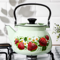 Чайник сферический, 3 л, индукция, деколь МИКС, цвет салатовый