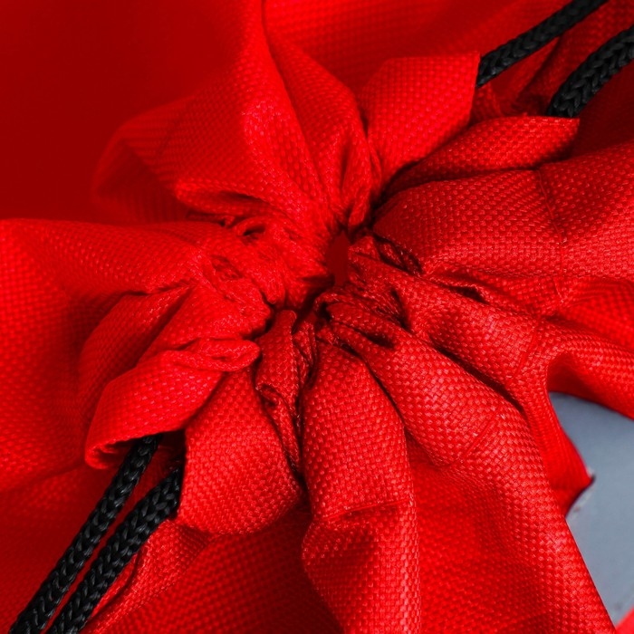 Мешок для обуви со светоотражающим элементом &laquo;Гоночная тачка&raquo; 30 х 40 см