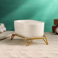 Горшок на подставке "Бонсайница" для кактусов и суккулентов, 17х8,5х5см