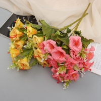 Букет "Радермахера" 30 см, микс