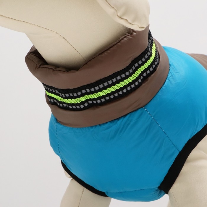 Куртка для собак с ошейник, размер 10 (ДС 25 см, ОГ 34 см, ОШ 24 см), серо-голубая Куртка для собак с ошейник, размер 10 (ДС 25 см, ОГ 34 см, ОШ 24 см), серо-голубая