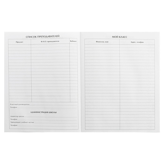 Дневник для 5-11 классов, "Сова", твердая обложка 7БЦ, глянцевая ламинация, 48 листов