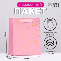 Пакет ламинированный вертикальный "Звёзды", 18 х 23 х 10 см