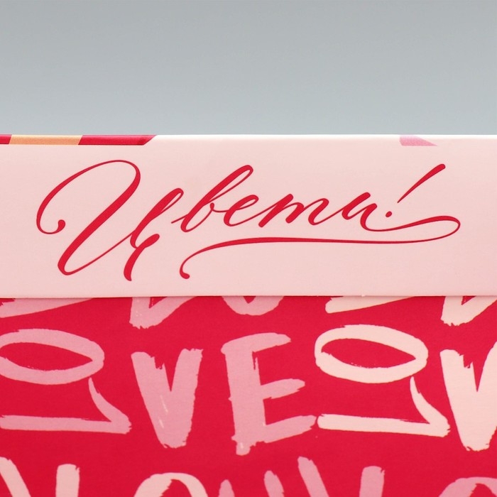 Набор пакетов подарочных ламинированных, двухсторонние, упаковка, &laquo;Женщины с Венеры&raquo; 12 х 15 х 5.5 см ‒ 23 х 27 х 11.5 см