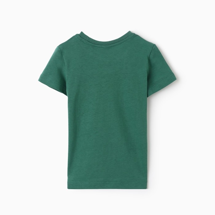 Футболка для мальчика, цвет зелёный, рост 176 см