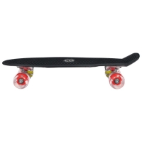 Скейтборд ONLITOP, 56x15 см, колёса световые PU 60х45 мм, алюминиевая рама, цвет МИКС Скейтборд ONLITOP, 56x15 см, колёса световые PU 60х45 мм, алюминиевая рама, цвет МИКС