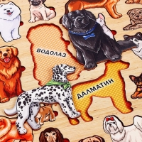 Рамки-вкладыши «Породы собак» Рамки-вкладыши «Породы собак»