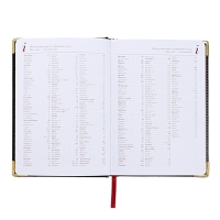 Ежедневник недатированный А5+, 136 листов Sidney Nebraska, твёрдая обложка, искусственная кожа, золотой срез, золотые уголки, чёрный