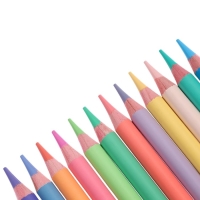 Карандаши 12 цветов ErichKrause "Pastel Bloom", дерево, круглые, грифель 4 мм, европодвес