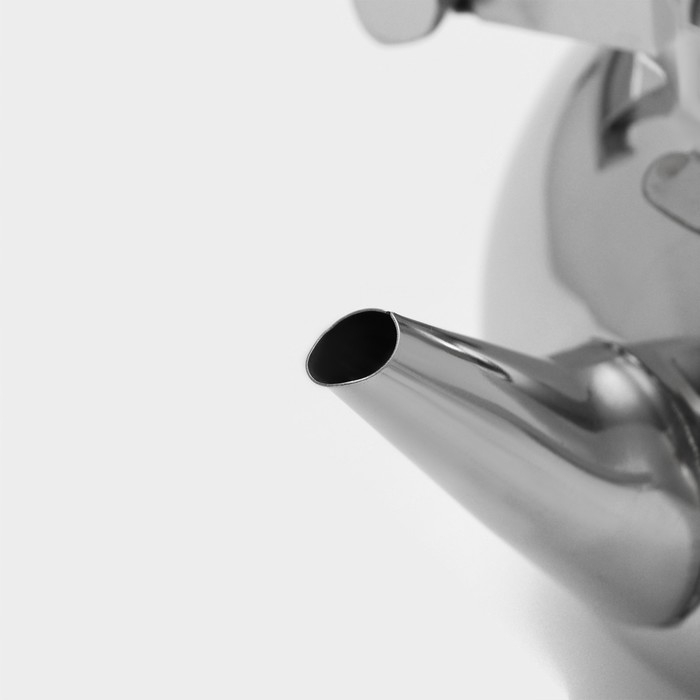 Чайник из нержавеющей стали &laquo;Жуан&raquo;, 1,15 л, металлическое сито, цвет хромированный