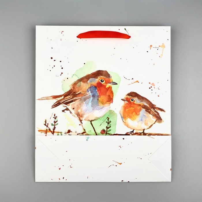 Пакет подарочный новогодний ламинированный &laquo;Пение птиц&raquo;, M 30 х 26 х 9 см