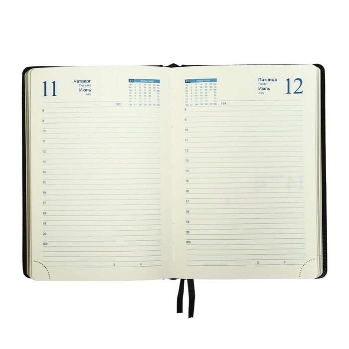 Ежедневник 2025 года A5, 168 листов в линейку, кожзам "Небраска", серебряный срез, черный