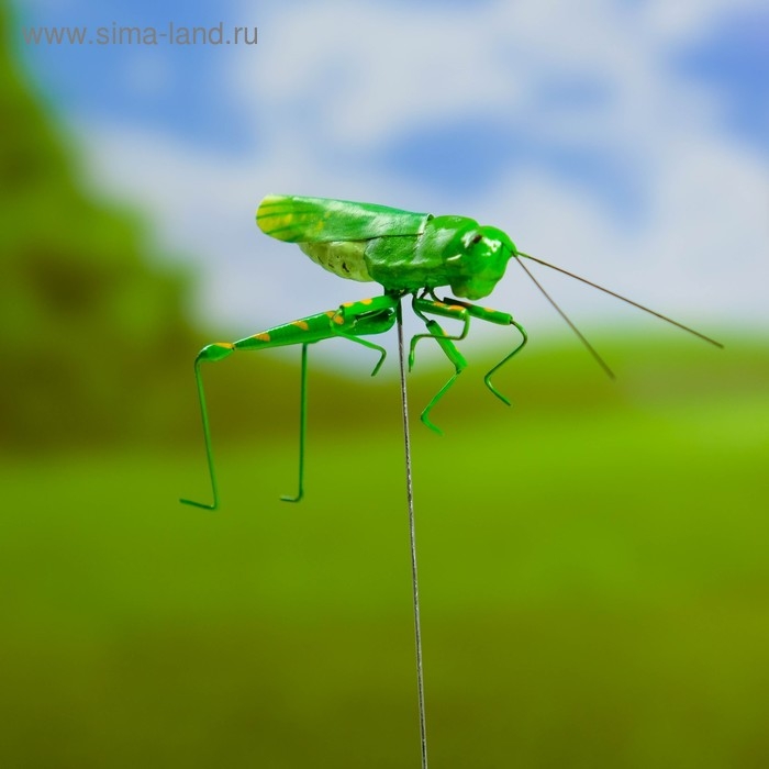 Штекер Штекер "Кузнечик зеленый" 3х5см/22см
