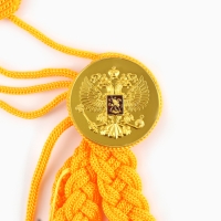 Карнавальный аксельбант «Солдат на параде», золотой Карнавальный аксельбант «Солдат на параде», золотой