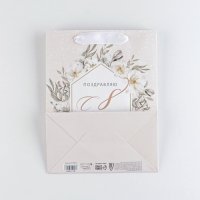 Пакет подарочный ламинированный, упаковка, &laquo;Нюд&raquo;, MS 18 х 23 х 10 см