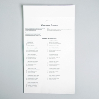 Игра на липучках &laquo;Животные России&raquo; МИНИ