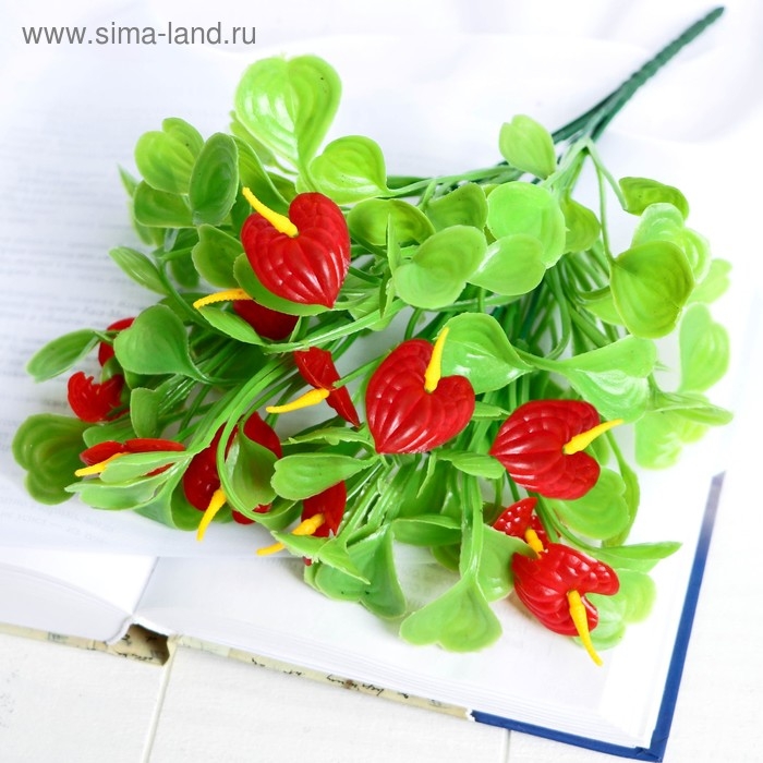 Букет Букет "Антуриум" 30 см