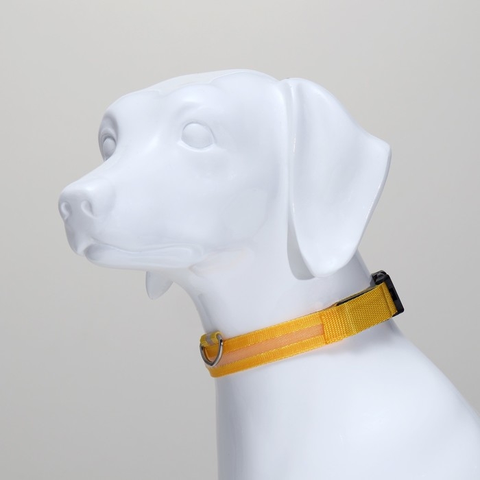 Ошейник с подсветкой размер XL,ОШ 52-60 х 2,5 см, 3 режима свечения жёлтый Ошейник с подсветкой размер XL,ОШ 52-60 х 2,5 см, 3 режима свечения жёлтый