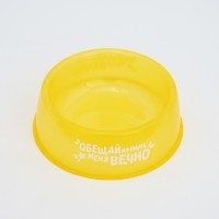 Миска пластиковая &laquo;Обещай кормить меня вечно&raquo;, 300 мл, желтый