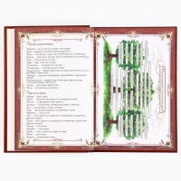 Подарочный набор родословная книга в шкатулке &laquo;Новый год: Дед мороз&raquo;