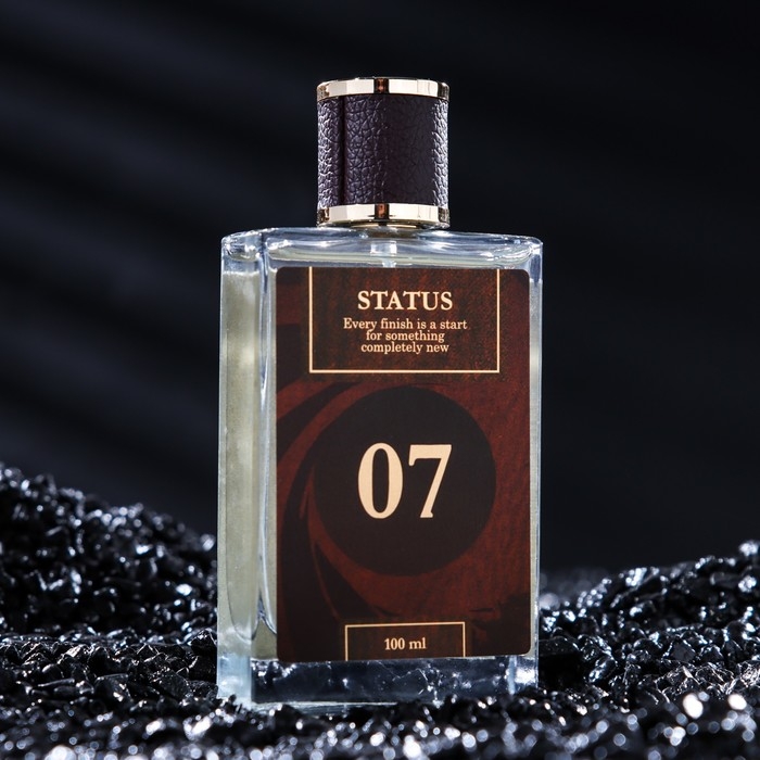 Парфюмерная вода мужская Men`s bomb Парфюмерная вода мужская Men`s bomb "07 STATUS" (по мотивам Creed), 100 мл + подарок