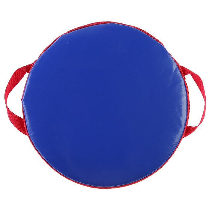 Санки-ледянки №74 «Дракончик со сноубордом», d=35 см Санки-ледянки №74 «Дракончик со сноубордом», d=35 см