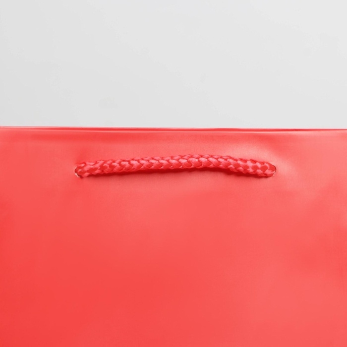 Пакет подарочный ламинированный, упаковка, &laquo;Красный&raquo;, ML 21 х 25 х 8 см