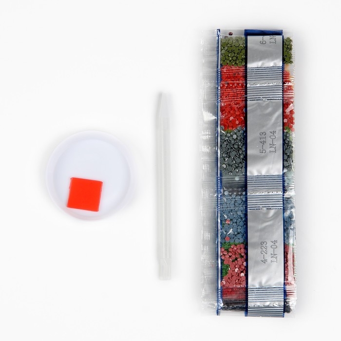 Алмазная мозаика с частичным заполнением на холсте &laquo;Девушка с драконом&raquo;, 20 х 30 см