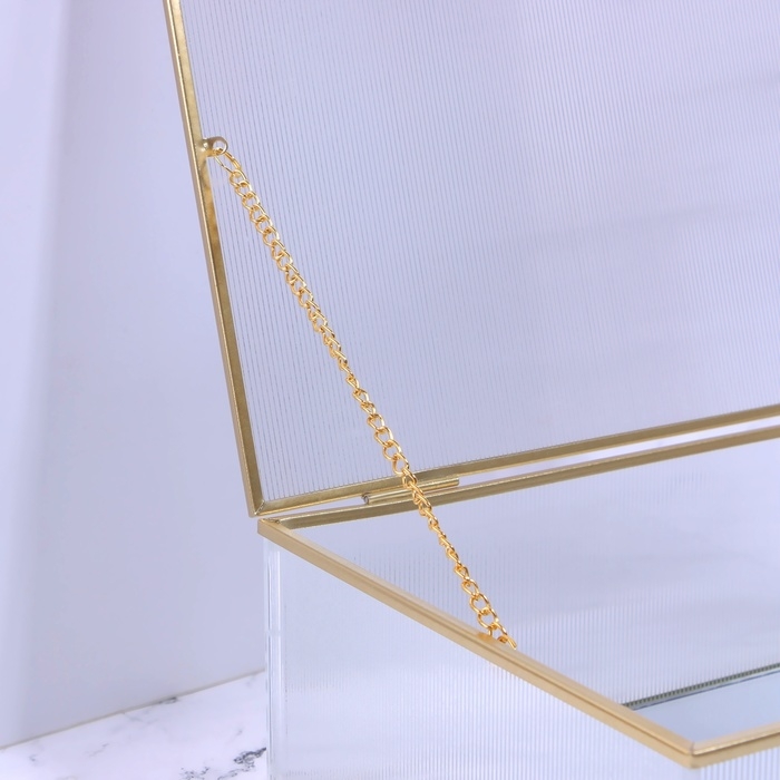 Органайзер для хранения «RIPPLES», с крышкой, стеклянный, с зеркальным дном, 1 секция, 25 × 17,5 × 8,5 см, цвет прозрачный/медный Органайзер для хранения «RIPPLES», с крышкой, стеклянный, с зеркальным дном, 1 секция, 25 × 17,5 × 8,5 см, цвет прозрачный/медный