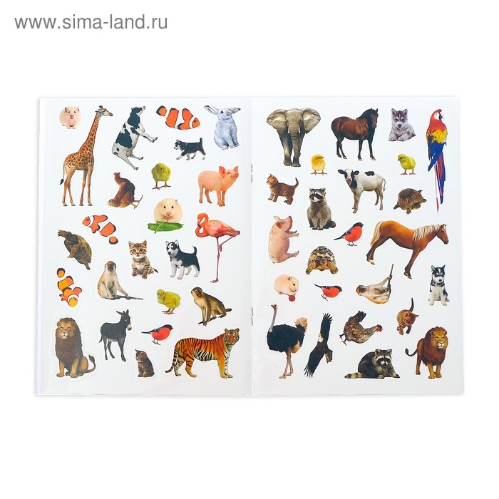 100 наклеек набор &laquo;Для юных гениев&raquo;, 3 шт. по 12 стр.