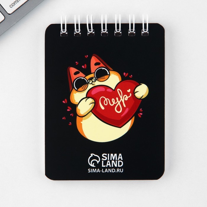 Подарочный набор &laquo;Котик&raquo;, карандаши 2 шт, ластики 2 шт, блокнот